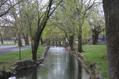 A tree-lined stream running through a park